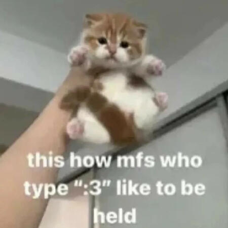 Image of a cat being held up with text that says this is how mother fucker who type the cat face emoticon like to be held