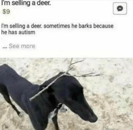 What I am assuming is Facebook marketplace. The post says I am selling a deer nine dollars I am selling a deer. sometimes he barks because he has autism. The image is a dog, probably a black lab, with a stick laid on its head like a little hat