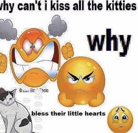 An image of two very angry emojis. They are saying why can't I kiss all the kitties why bless their hearts. There is also a very adorable depiction of a cat, with white fur that has a few gray spots